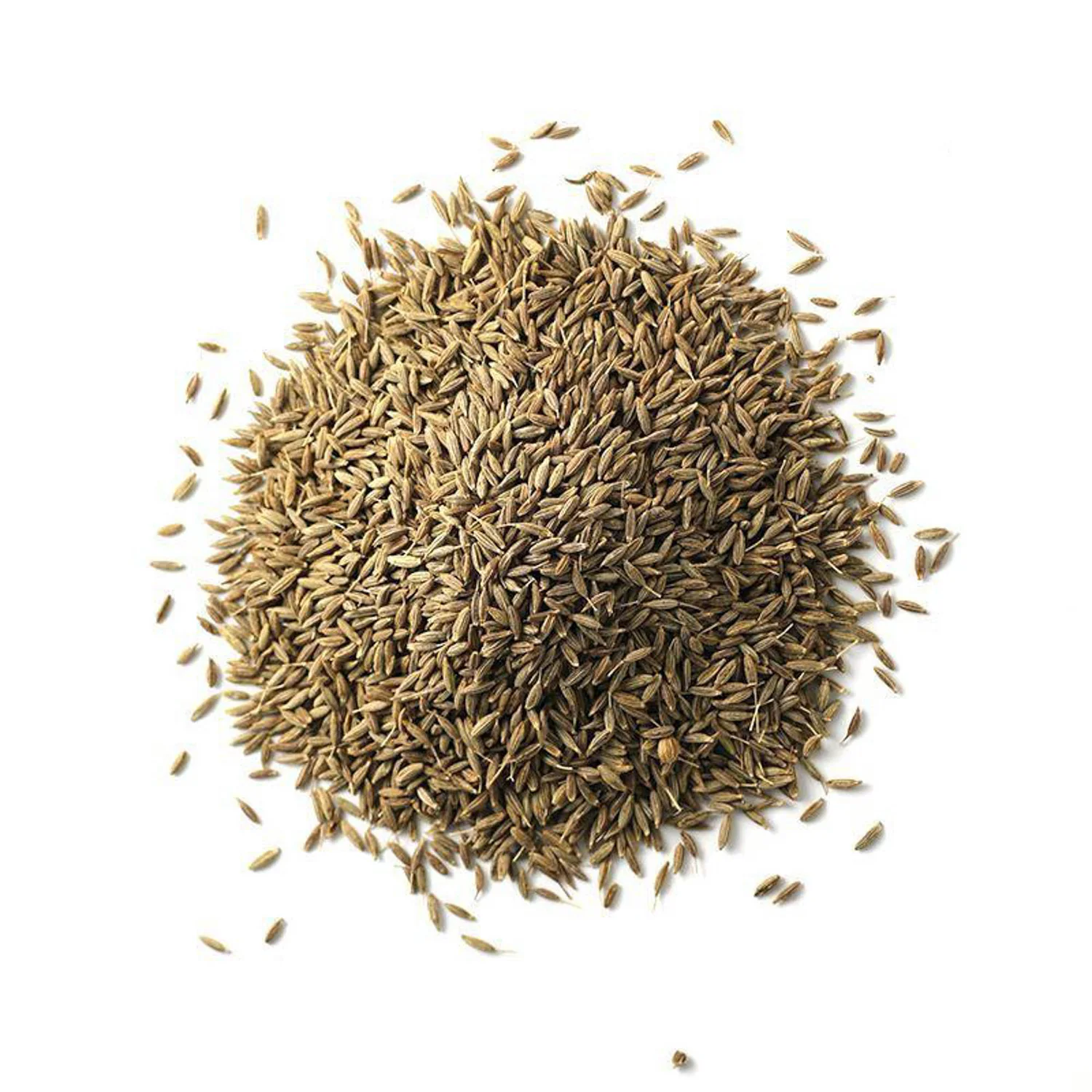 Whole cumin seeds
