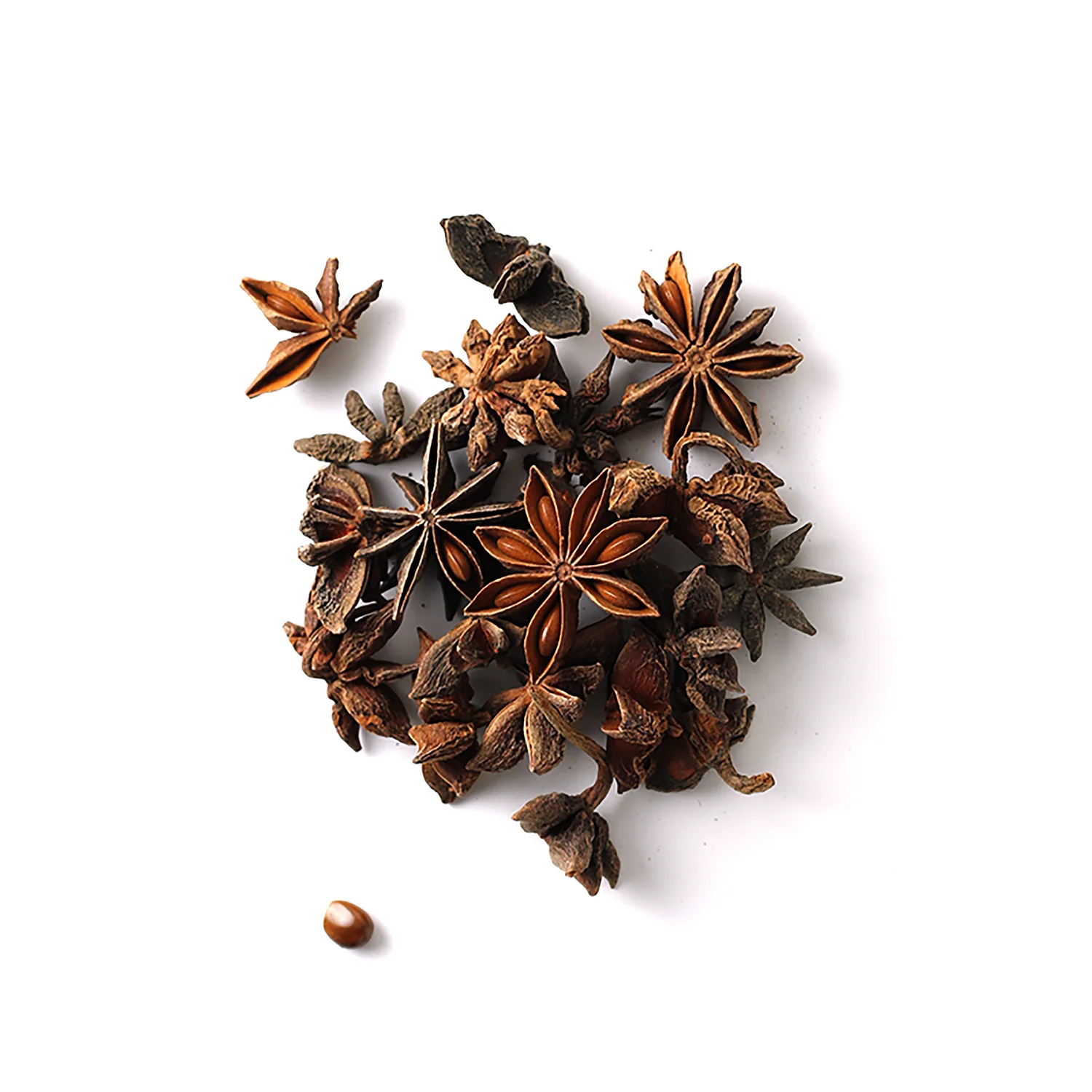 Whole star anise pods